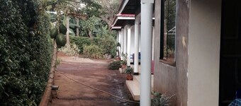Acacia Tree Apartments