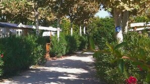 Unclassified image, 5 of 34, button - Camping Lou Comtadou (Carpentras)