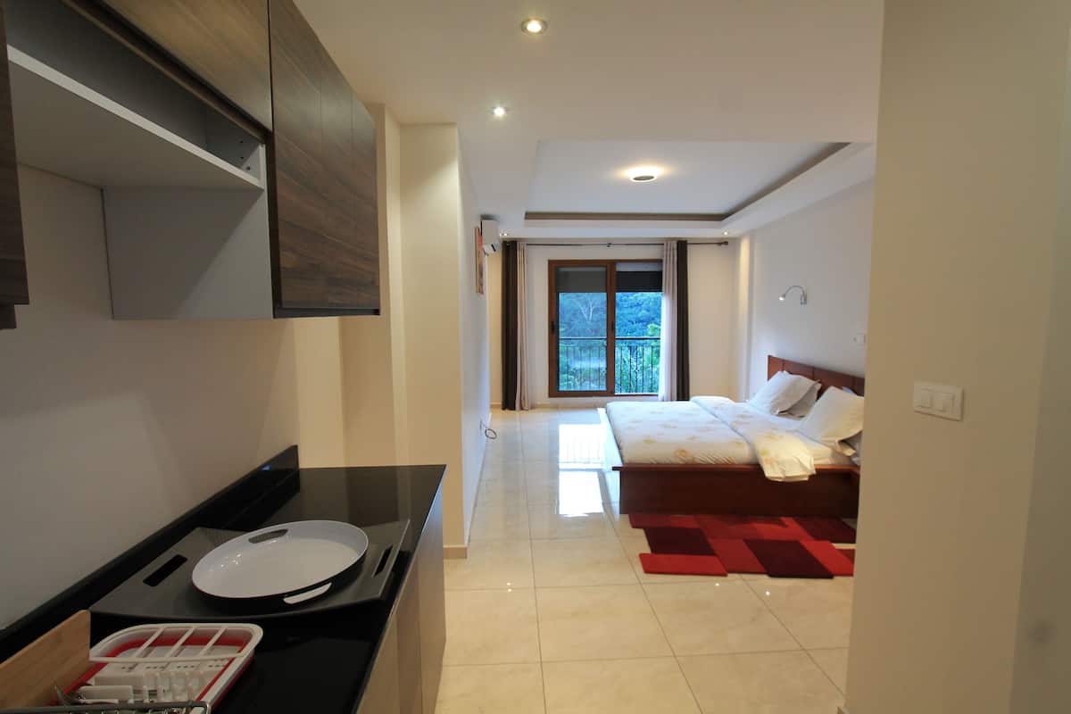 Executive Studio Suite | Living area | 50-inch flat-screen TV with satellite channels, TV, DVD player