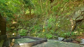 Un espace extérieur paisible avec une source d’eau chaude naturelle, un mur de pierre, une végétation luxuriante et une petite structure en bois.