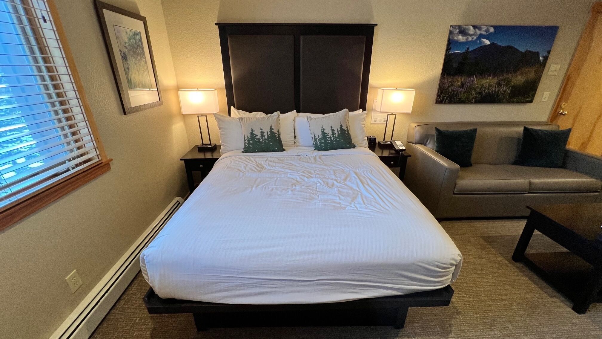Une chambre d’hôtel avec un grand lit, un canapé, un bureau et une fenêtre avec des stores.