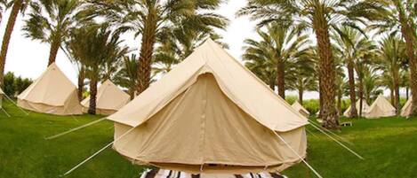 A series of beige tents set up on a grassy field with palm trees in the background.