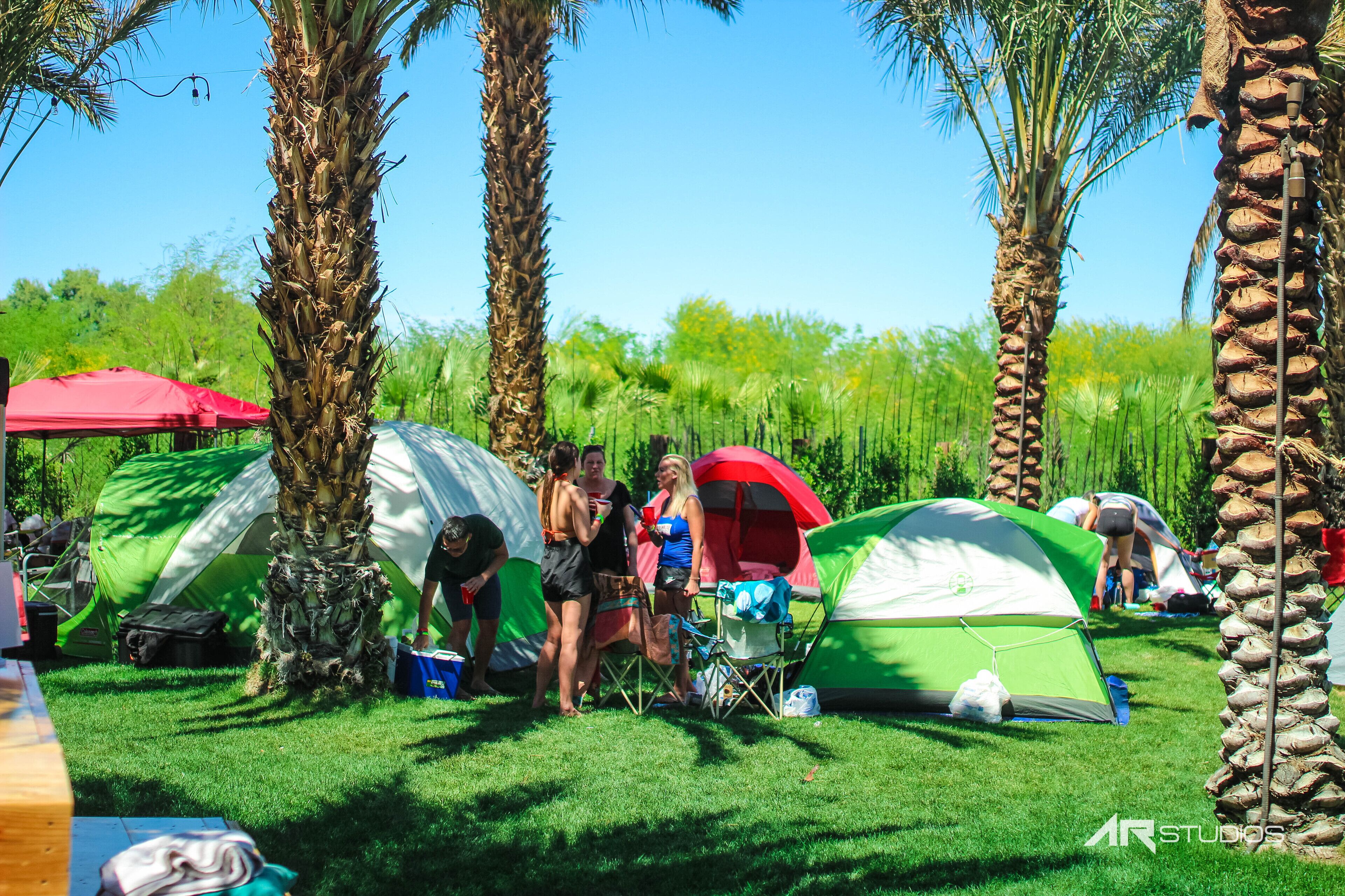 A campsite with tents, palm trees, and a grassy area.