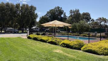 屋外プール、営業時間 8:00 ~ 19:00、プール パラソル、サンラウンジャー