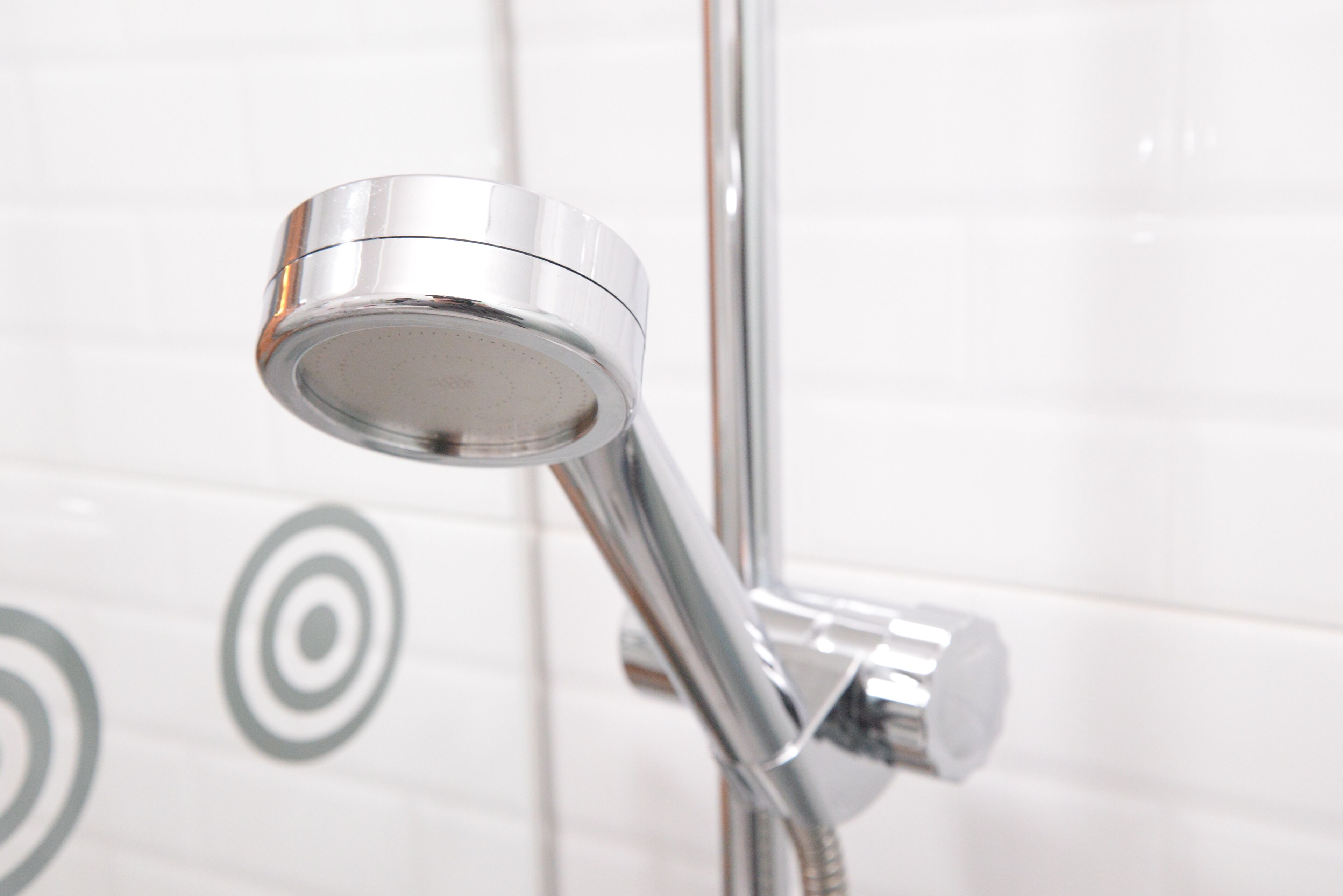 Hair dryer, towels, shampoo, toilet paper