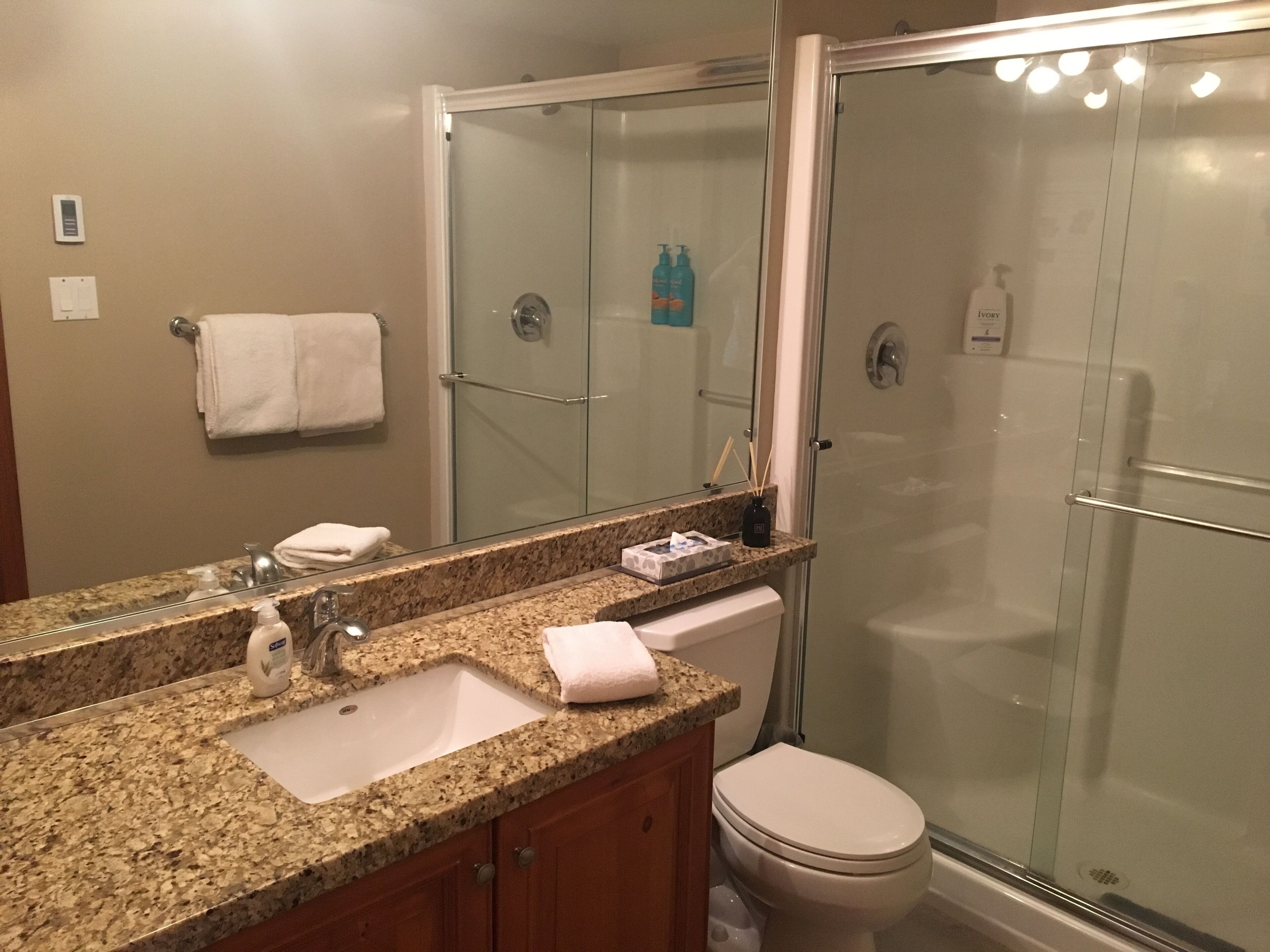 Whistler Blackcomb Condo