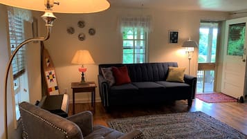 TV, DVD player, books, video library