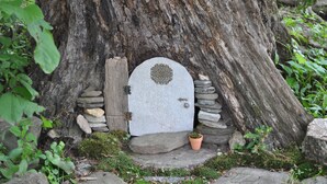 Une porte rustique ornée d’un motif circulaire, encadrée par des pierres naturelles, avec un sol recouvert de mousse et un tronc d’arbre en arrière-plan.