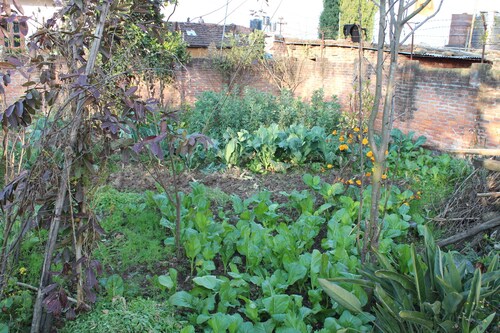 your home in Nepal at peace place with best view at Dhapakahle Nepal.