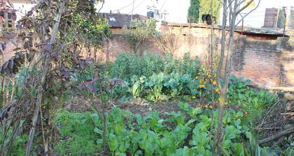 your home in Nepal at peace place with best view at Dhapakahle Nepal.