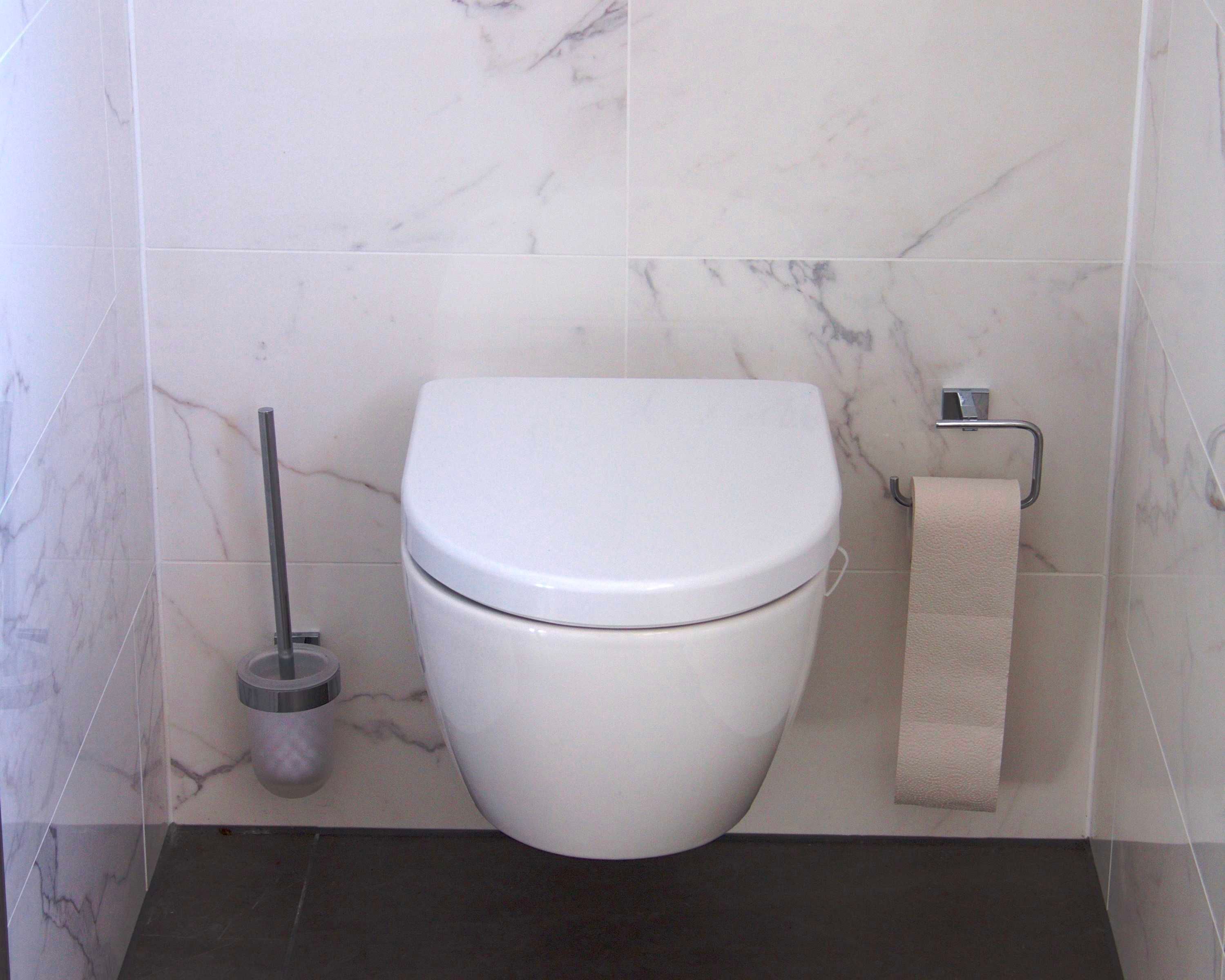 Des toilettes avec un mur en marbre en arrière-plan, un porte-rouleau de papier toilette et une ventouse.