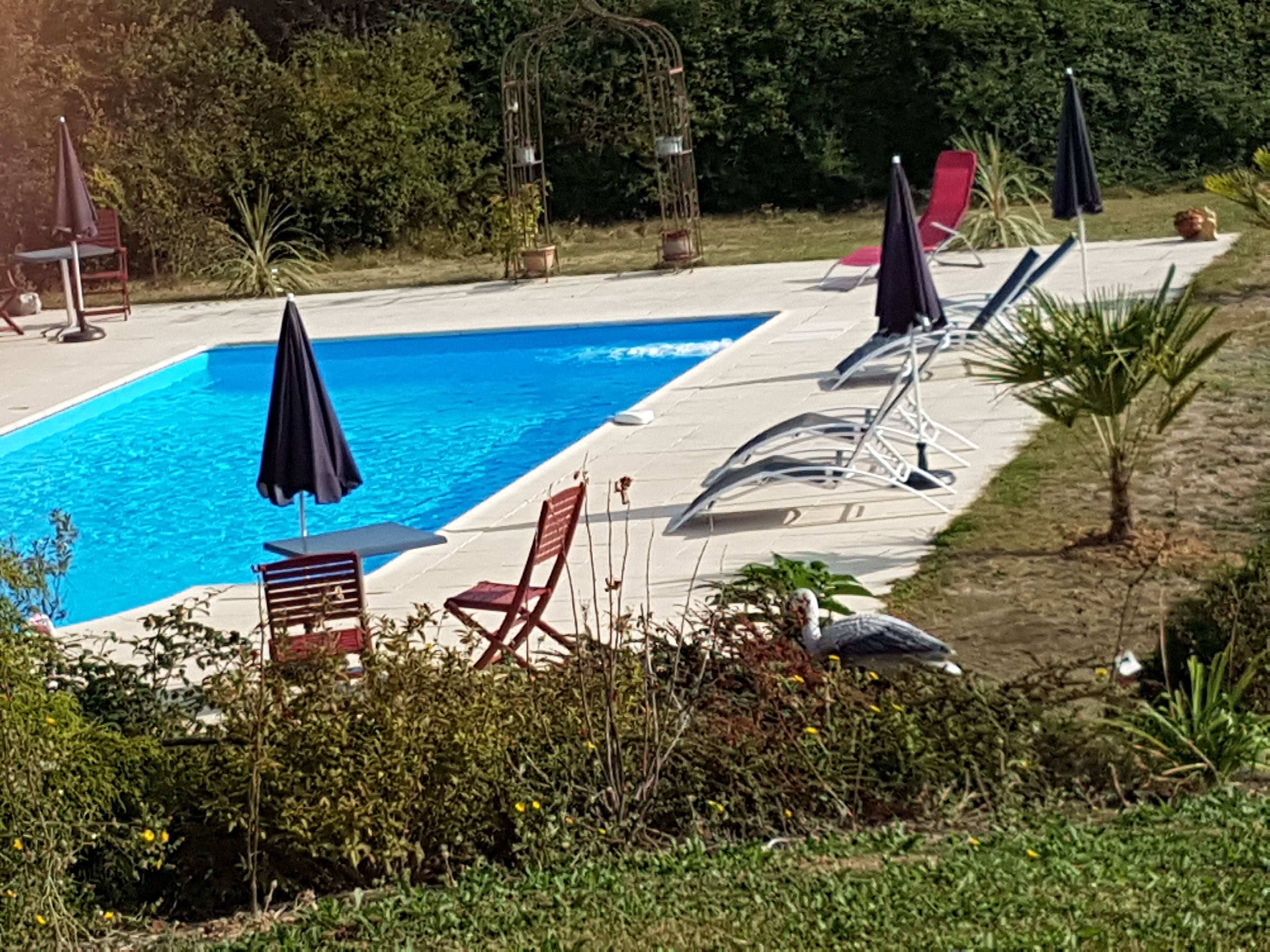 seasonal outdoor pool, pool umbrellas, pool loungers
