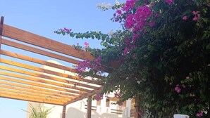 Un espace extérieur abrité, aménagé avec des sièges, et comprenant une piscine, le tout entouré de verdure et agrémenté d’un vase décoratif.
