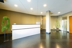 Recepción