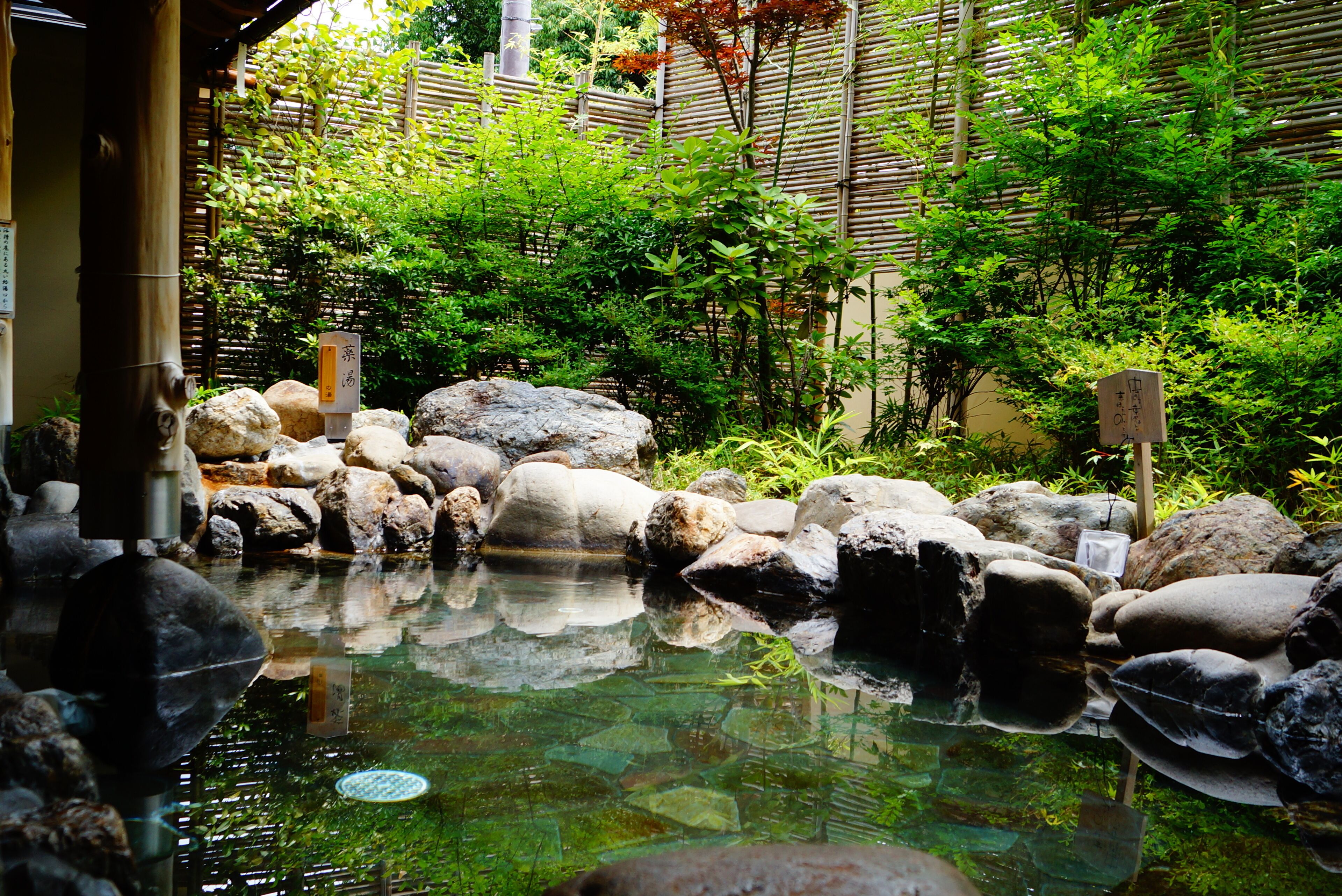 A traditional Japanese garden with a clear pond, rocks, and lush greenery.