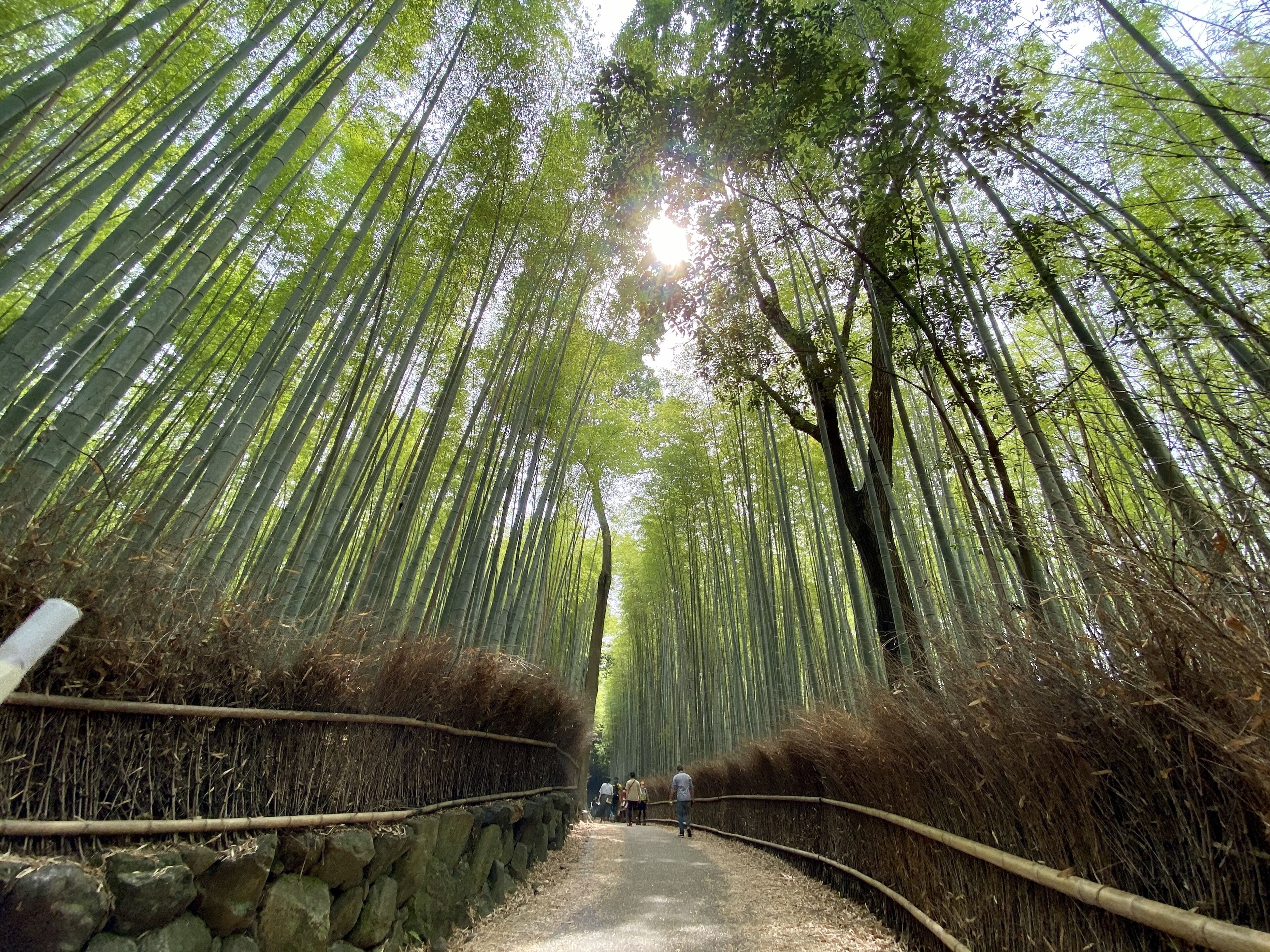 Photo - Kadensho, Arashiyama Onsen, Kyoto - Reopening on 2026