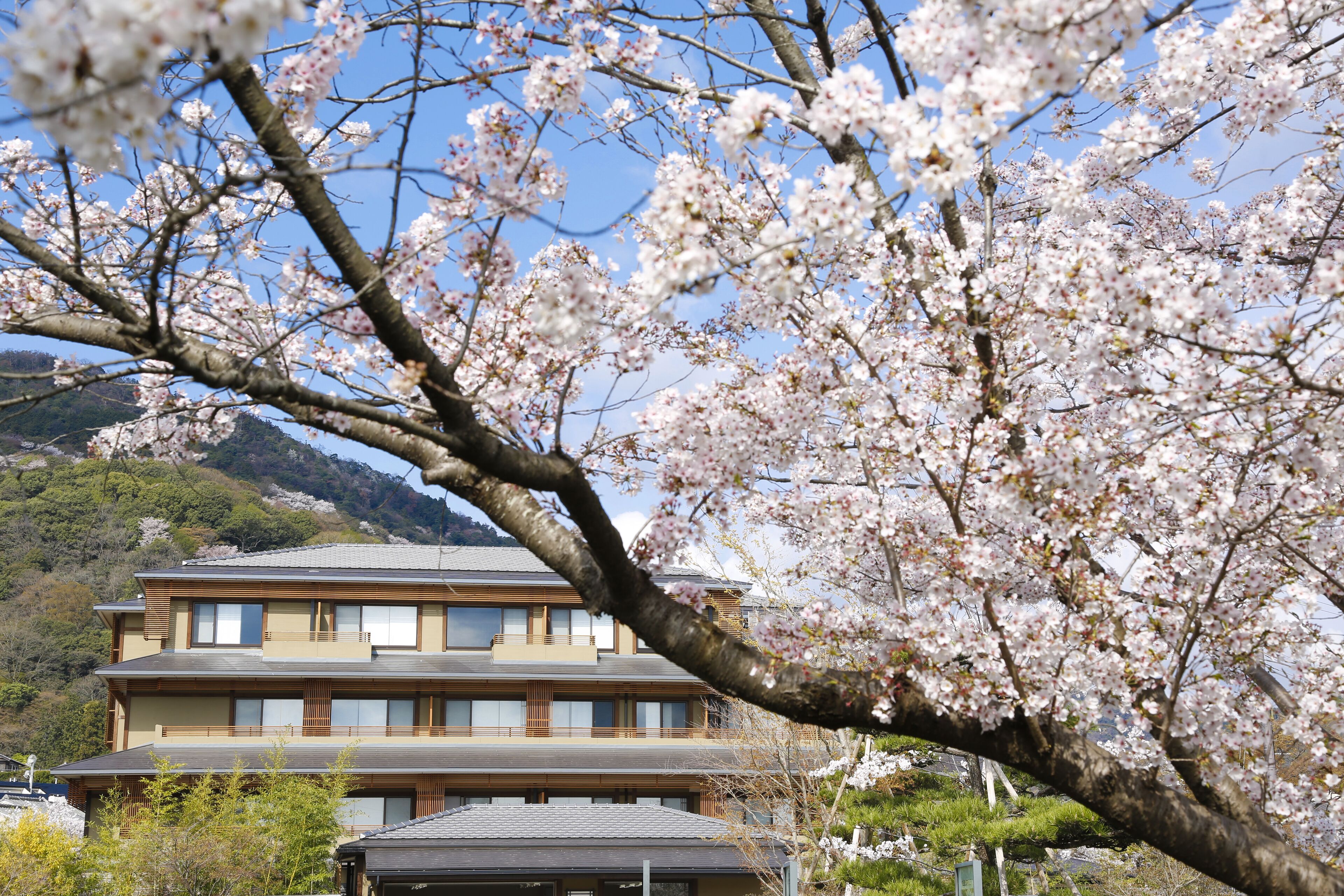 住宿正面