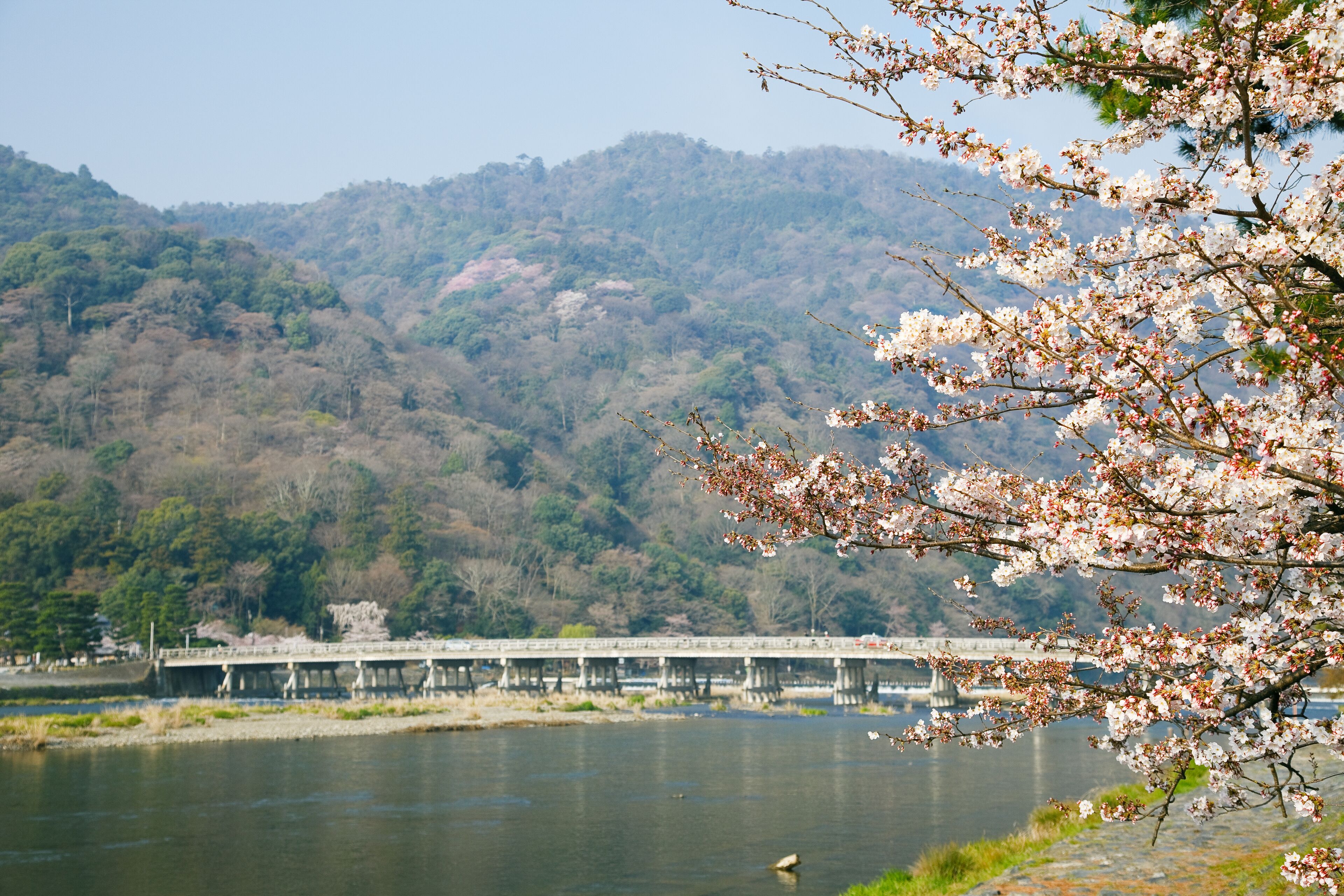Photo - Kadensho, Arashiyama Onsen, Kyoto - Reopening on 2026