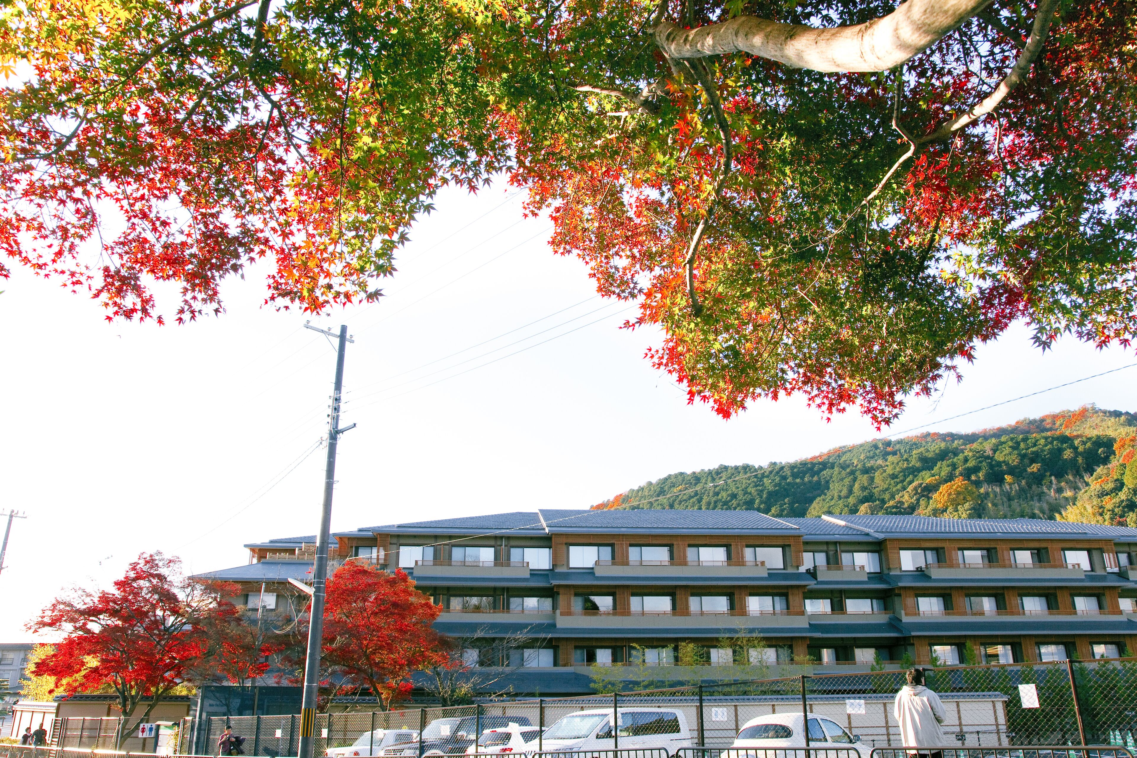 A multi-story building with a modern architectural style, surrounded by trees with autumn foliage.