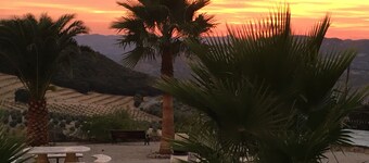 Tranquil, Self-Catering Andalucian Cottage - Located Among The Olives