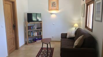 Televisie, een dvd-speler, boeken en een filmbibliotheek