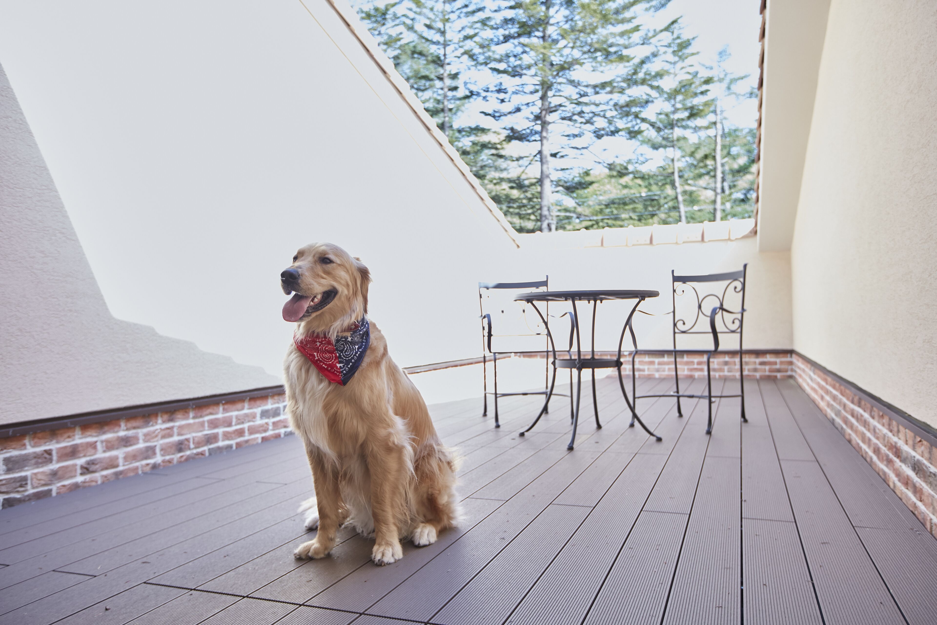 free minibar, in-room safe, desk, free wifi