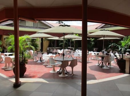 An outdoor dining area with multiple tables and chairs, covered by umbrellas, and surrounded by potted plants.