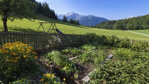 Landuitzicht vanuit accommodatie