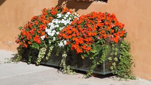 A building with a window with black bars, a flower box with red and white flowers, and a concrete ground. - B&B Stradivari (Cremona)