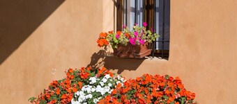 B&B Stradivari