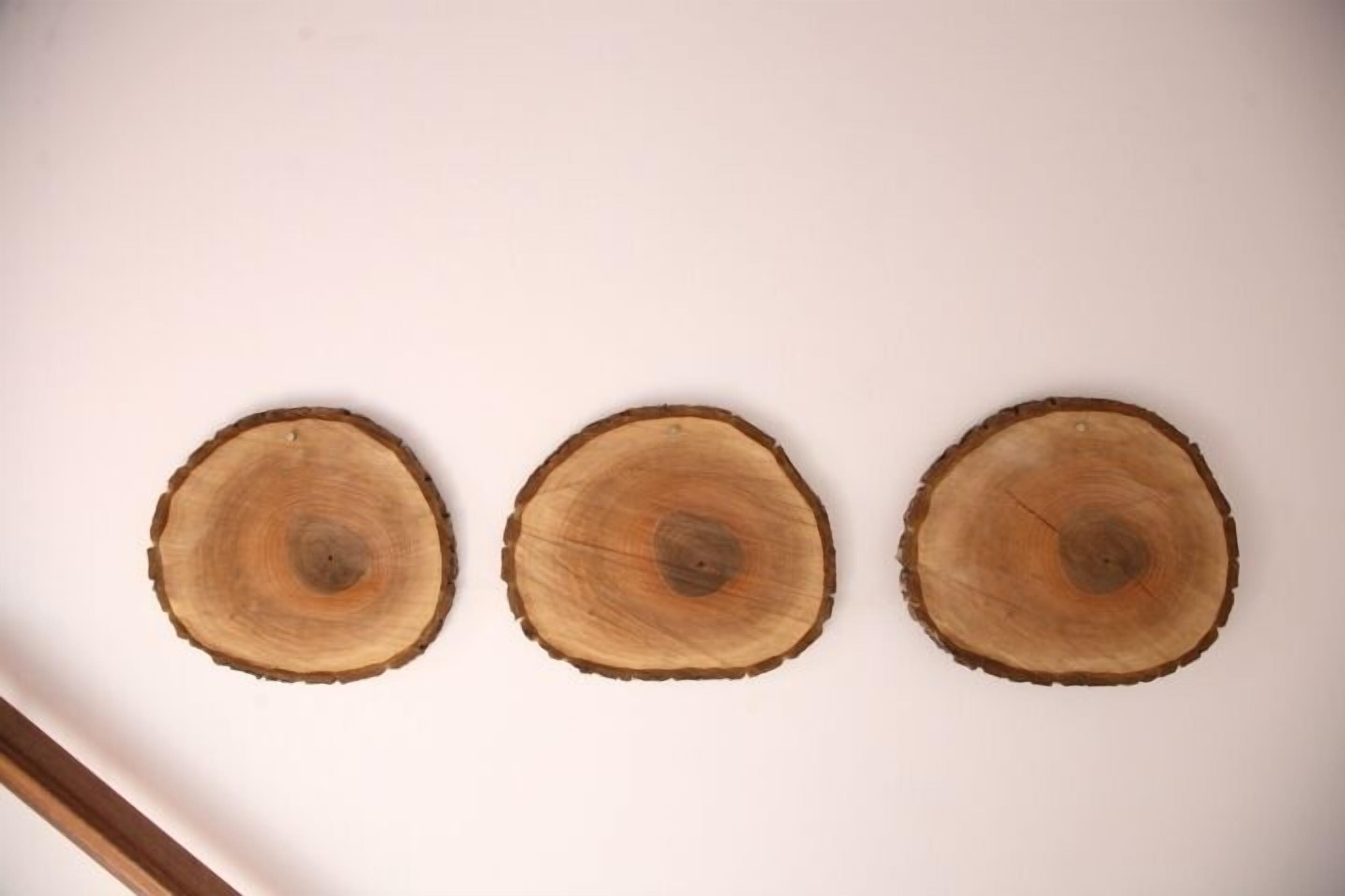 Three wooden slices arranged on a white background.