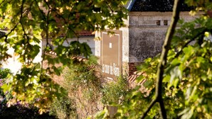Un bâtiment sur lequel on peut lire l’inscription « Lacour de Kemel », mais dont la façade est en partie masquée par le feuillage.
