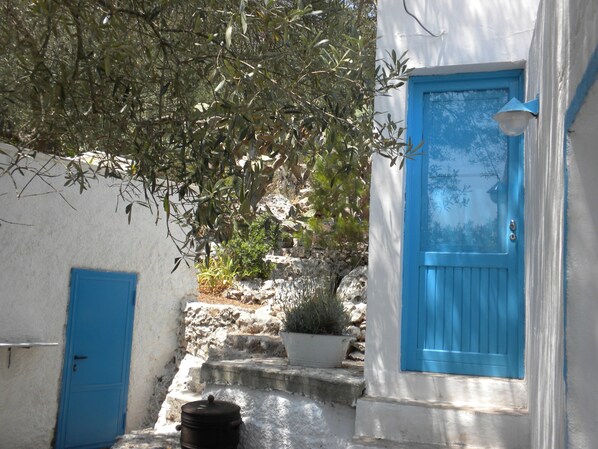 A narrow stone staircase leading to a blue door, surrounded by greenery and a white wall.
