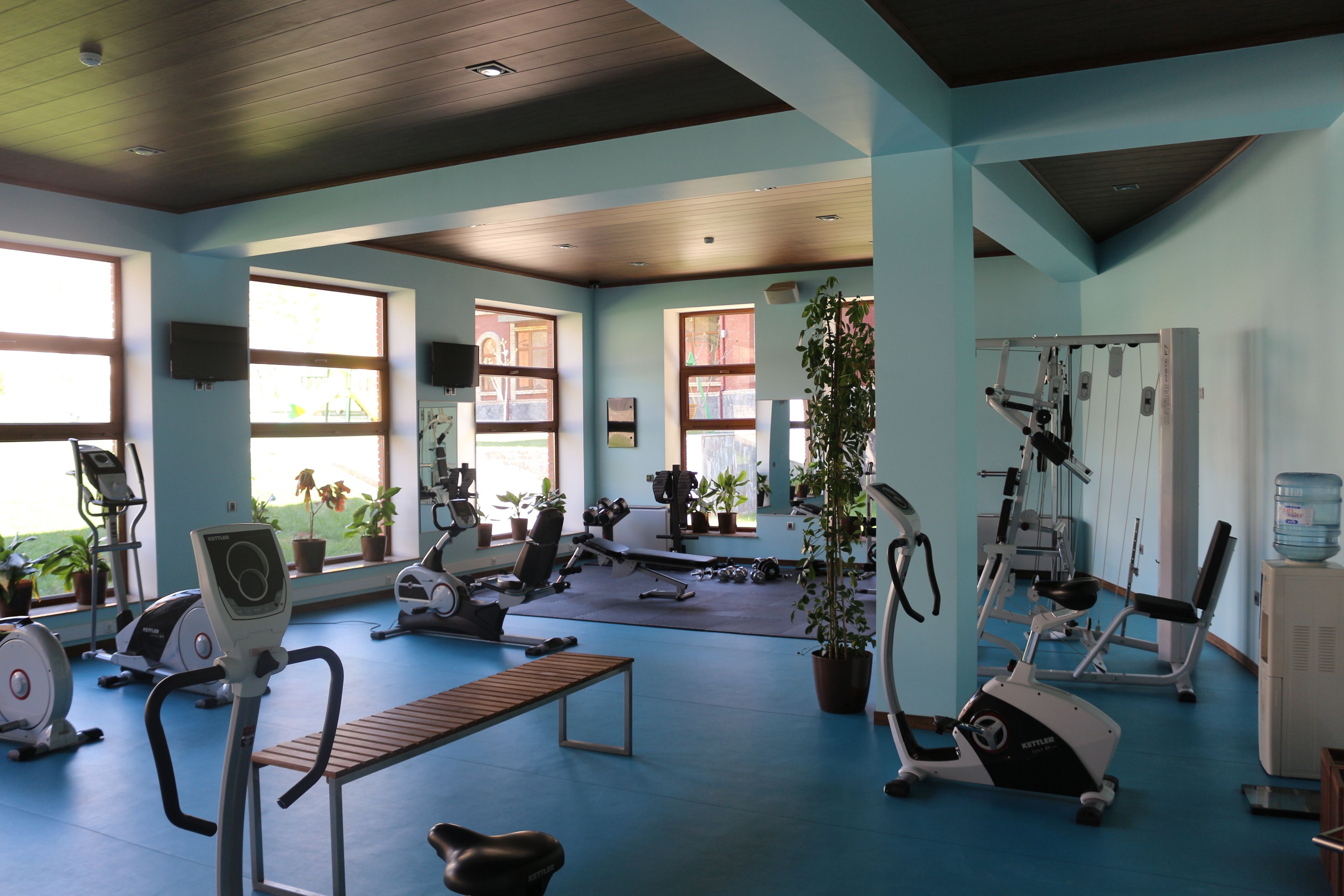 Un gimnasio con equipo de ejercicio, ventanas amplias y plantas en macetas.