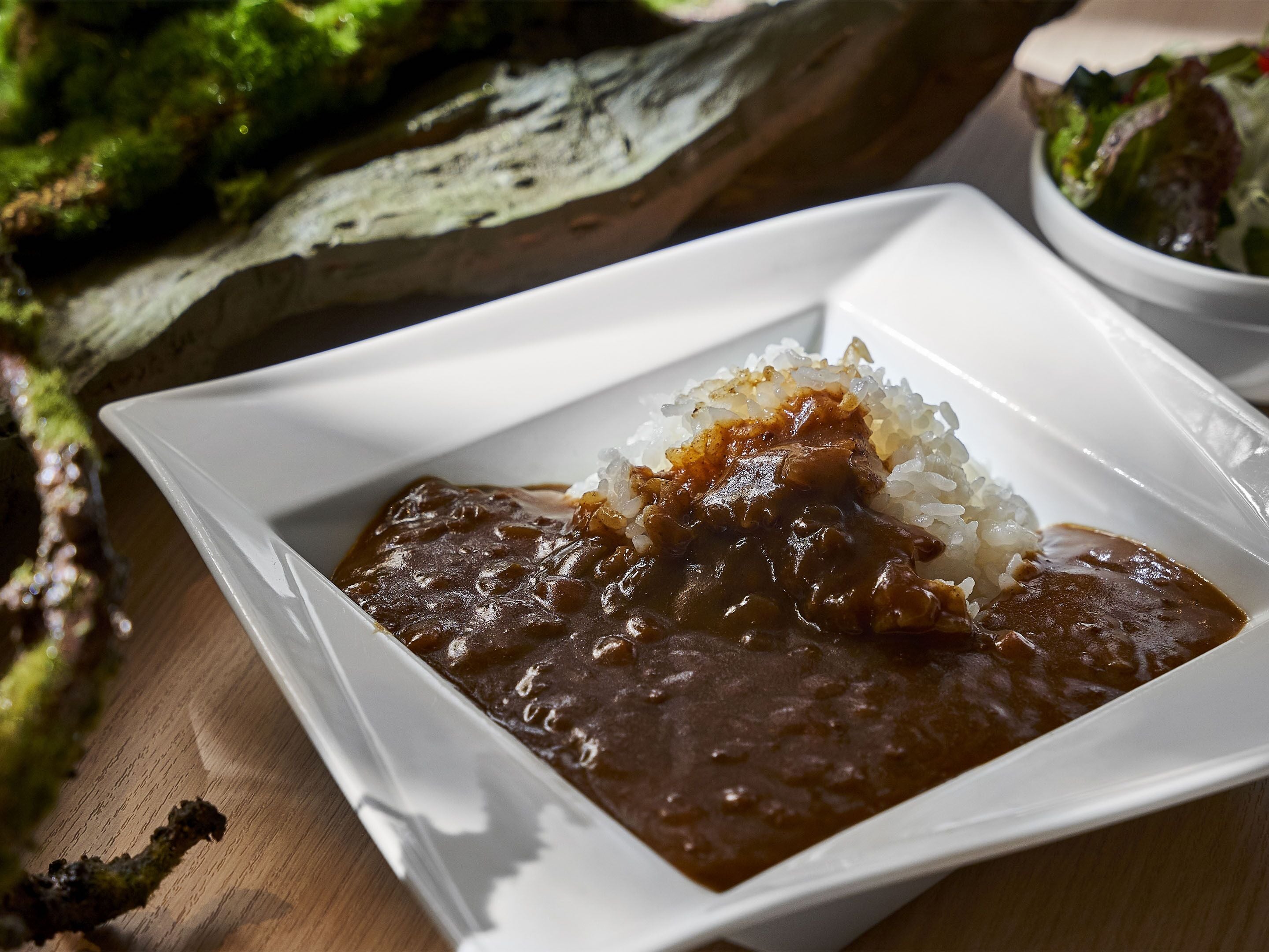 Une assiette blanche avec une sauce foncée et du riz, un bol de salade, et une surface en bois recouverte de mousse.