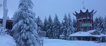 Apartment 2 - Apartments Haus Landmann