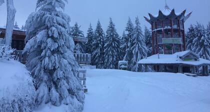 Apartment 2 - Apartments Haus Landmann