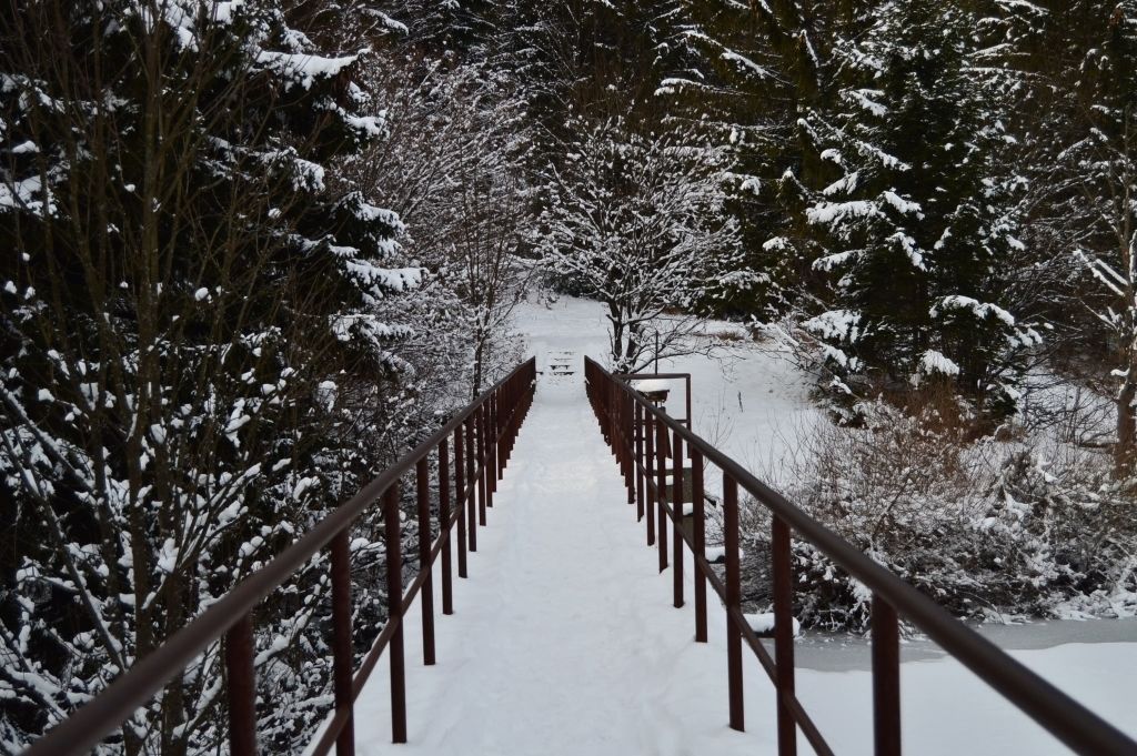 Un sentier enneigé bordé d’arbres et muni d’une rambarde métallique.