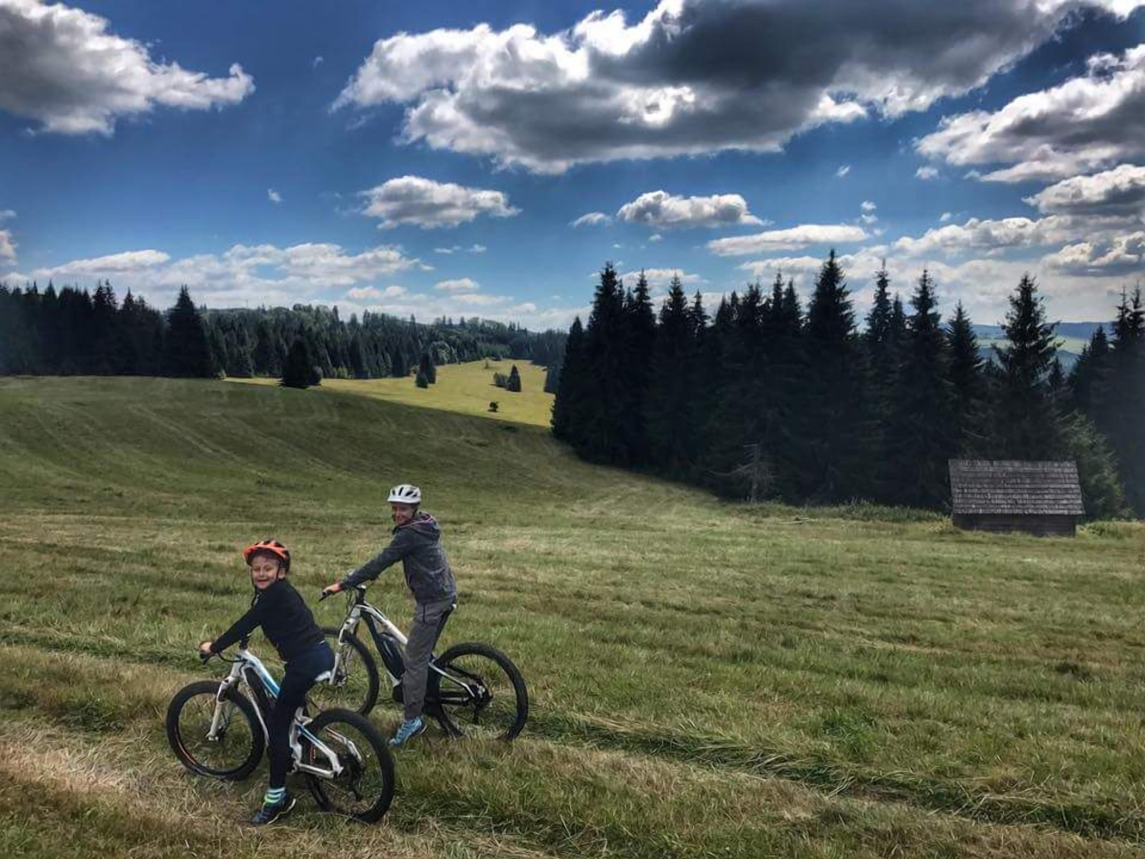 A grassy field with two people on bicycles, a clear sky, and a forest in the background.