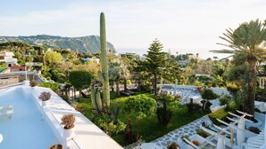 Un jardin sur le toit, agrémenté d’un grand cactus, de palmiers et offrant une vue sur une ville côtière.