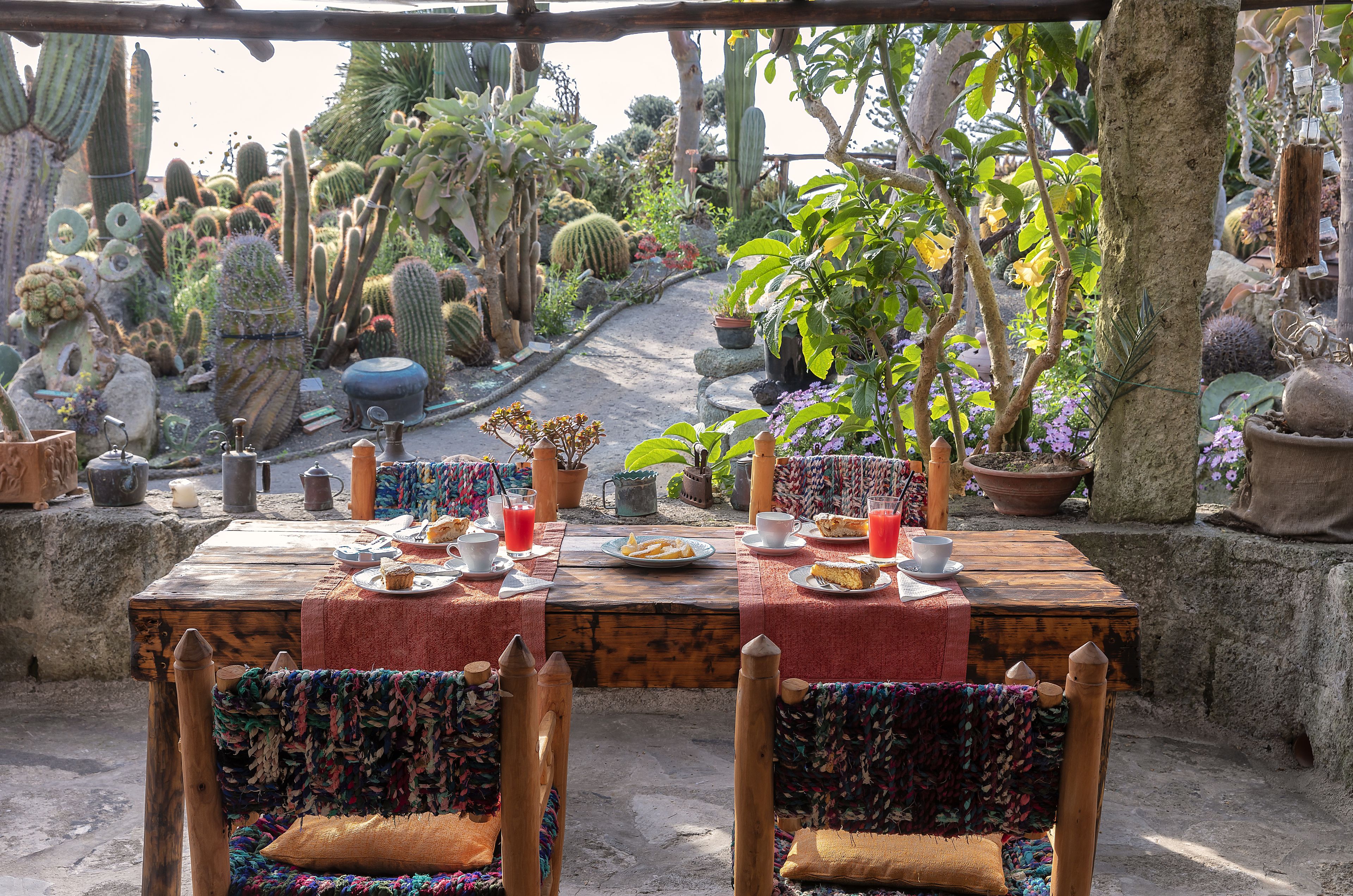 Un espace de restauration en plein air au décor rustique, avec une table en bois dressée pour deux personnes, entourée de différentes plantes en pot et de cactus.