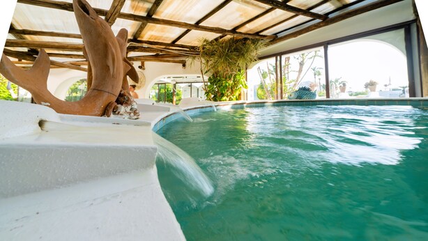 Une piscine surmontée d’une structure en bois, offrant une vue sur l’extérieur et agrémentée d’une plante suspendue au plafond.