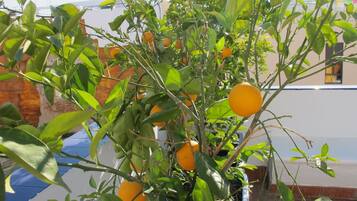 DĂ©tail de lâextĂ©rieur