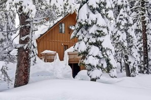 Exterior - Near Hiking & Skiing: Bear Valley Cabin! (Bear Valley)