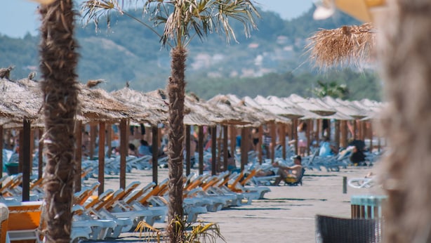 Un complexe hôtelier en bord de mer, avec des rangées de chaises longues et des palmiers.