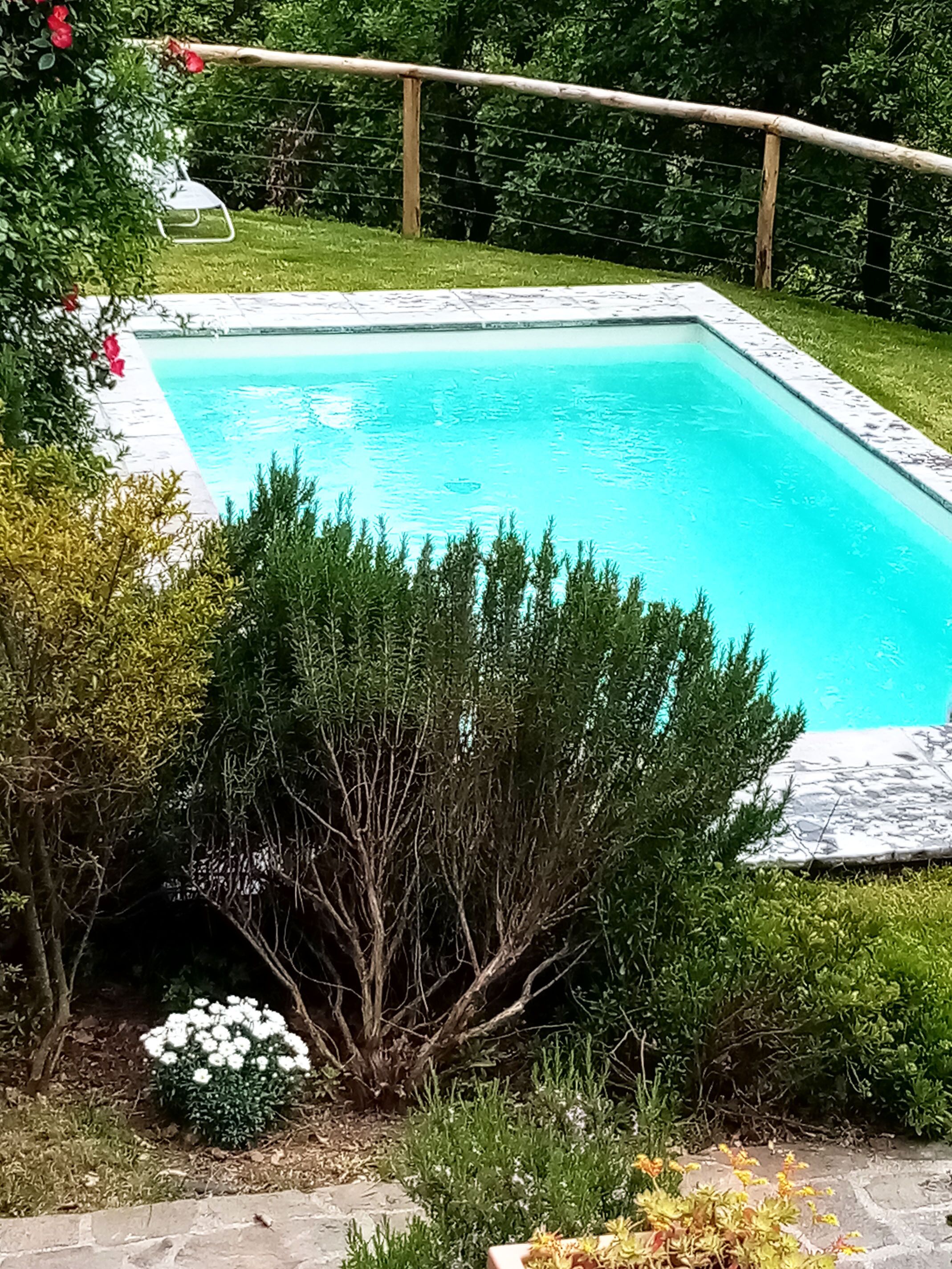 A rectangular swimming pool surrounded by lush greenery and a wooden fence.