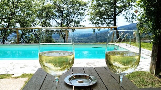 Two wine glasses on a wooden table with a pool and trees in the background. - villa in the green | street number 2 (uzzano)