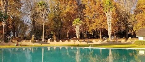 2 piscine all'aperto, lettini