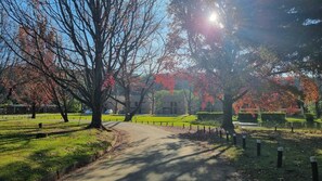 Exterior - Dragon Peaks Mountain Resort (Cathkin Park)