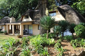 Une maison avec un toit de chaume, entourée d’un jardin où poussent différentes plantes et un palmier.